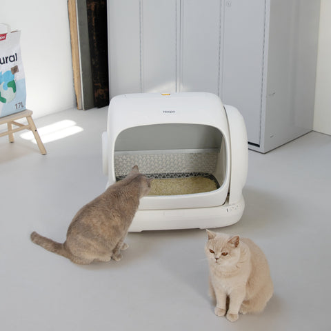 The automatic litter box that does all the work for you: Magna XXL!