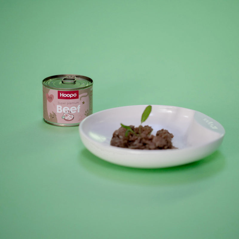 Voici ce que vous devez savoir sur les habitudes alimentaires de votre chat.