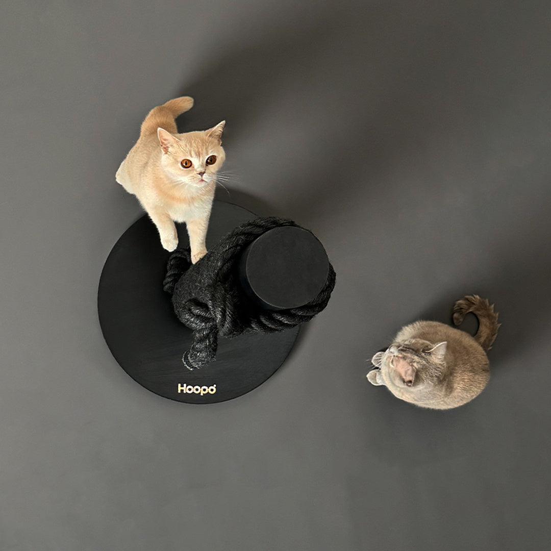Feature Image