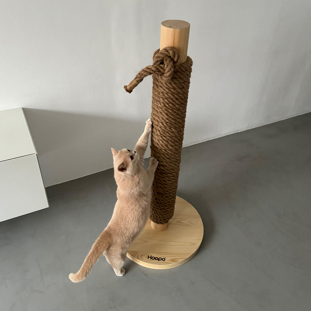 Totem variant image