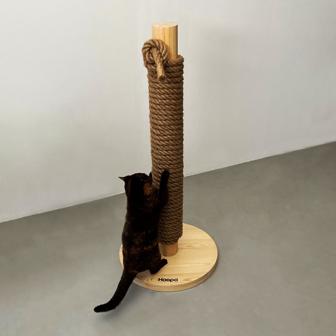 Totem variant image
