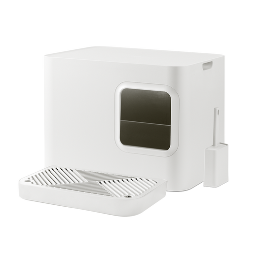 Dome Plus