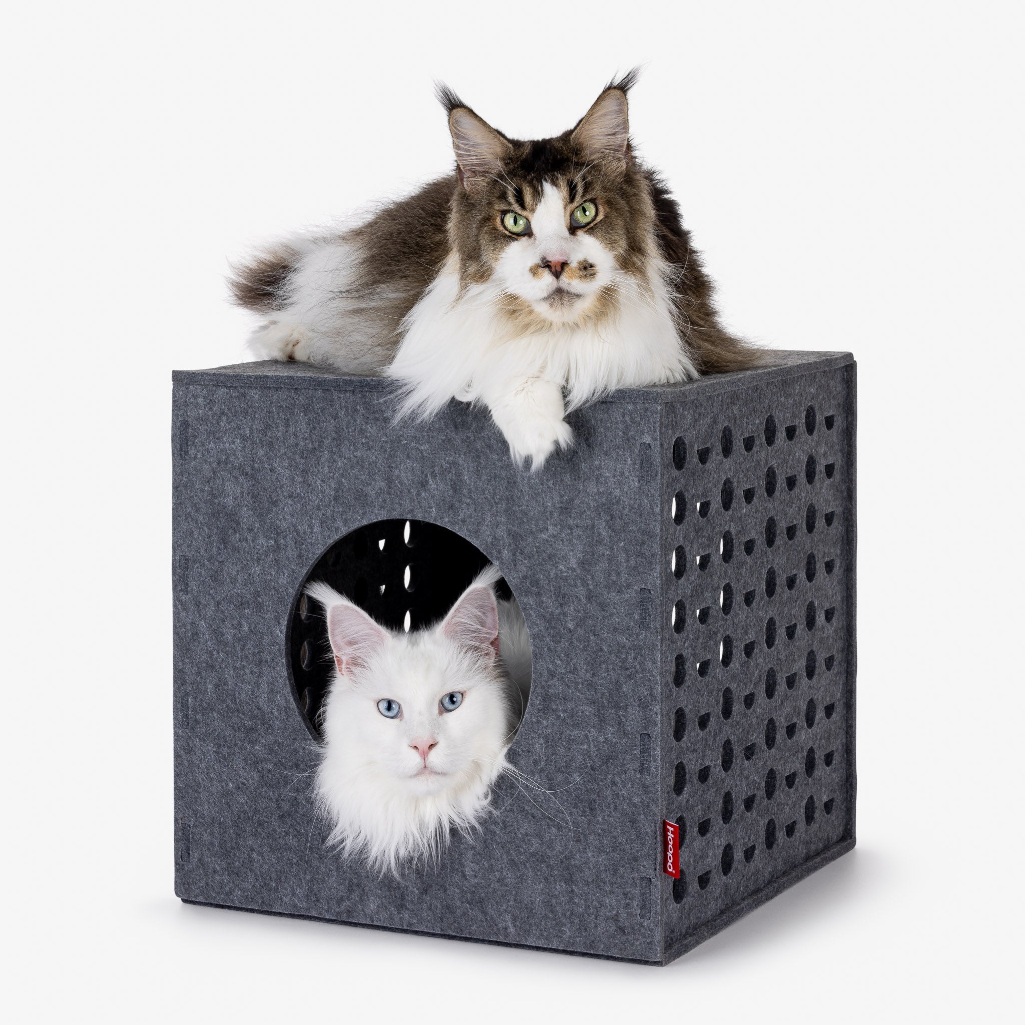 Feature Image
