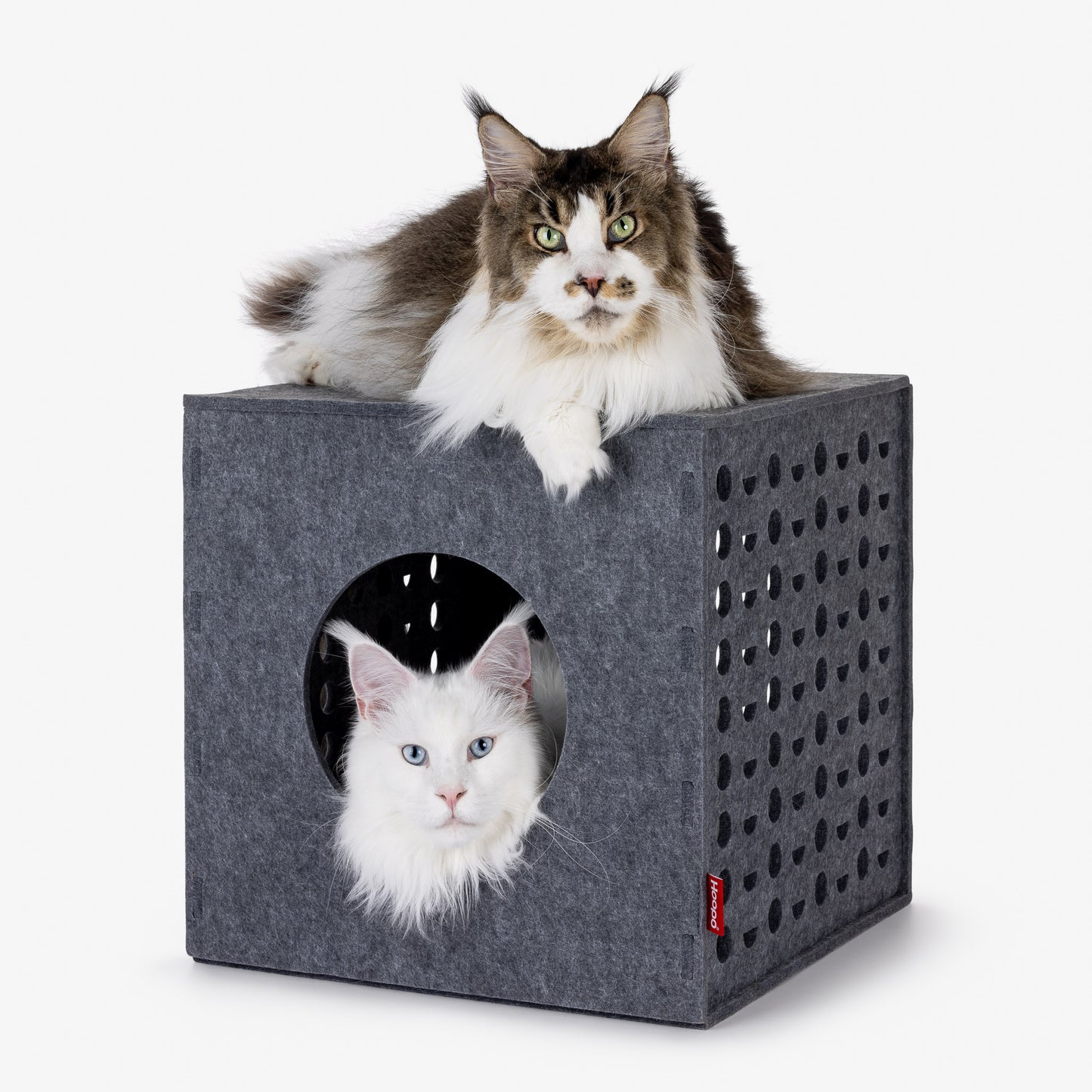 Cube