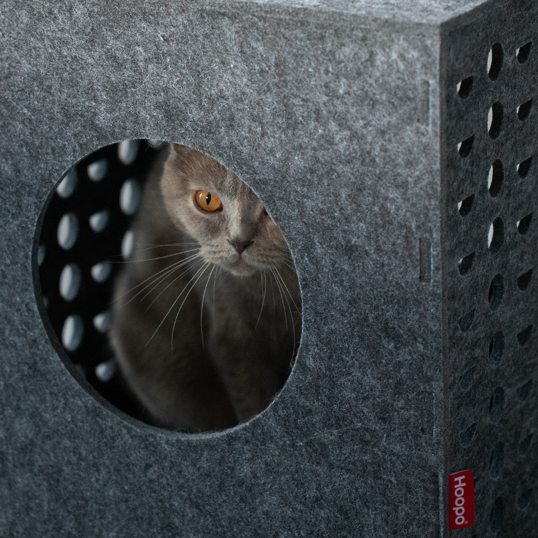 Cube