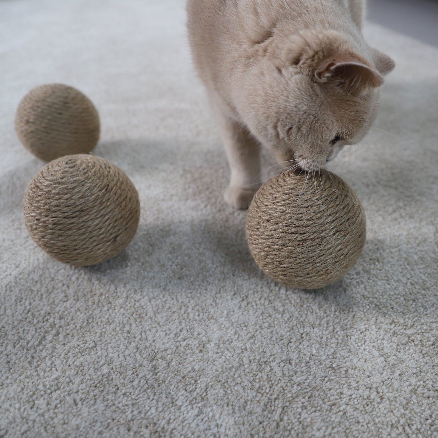 Globes