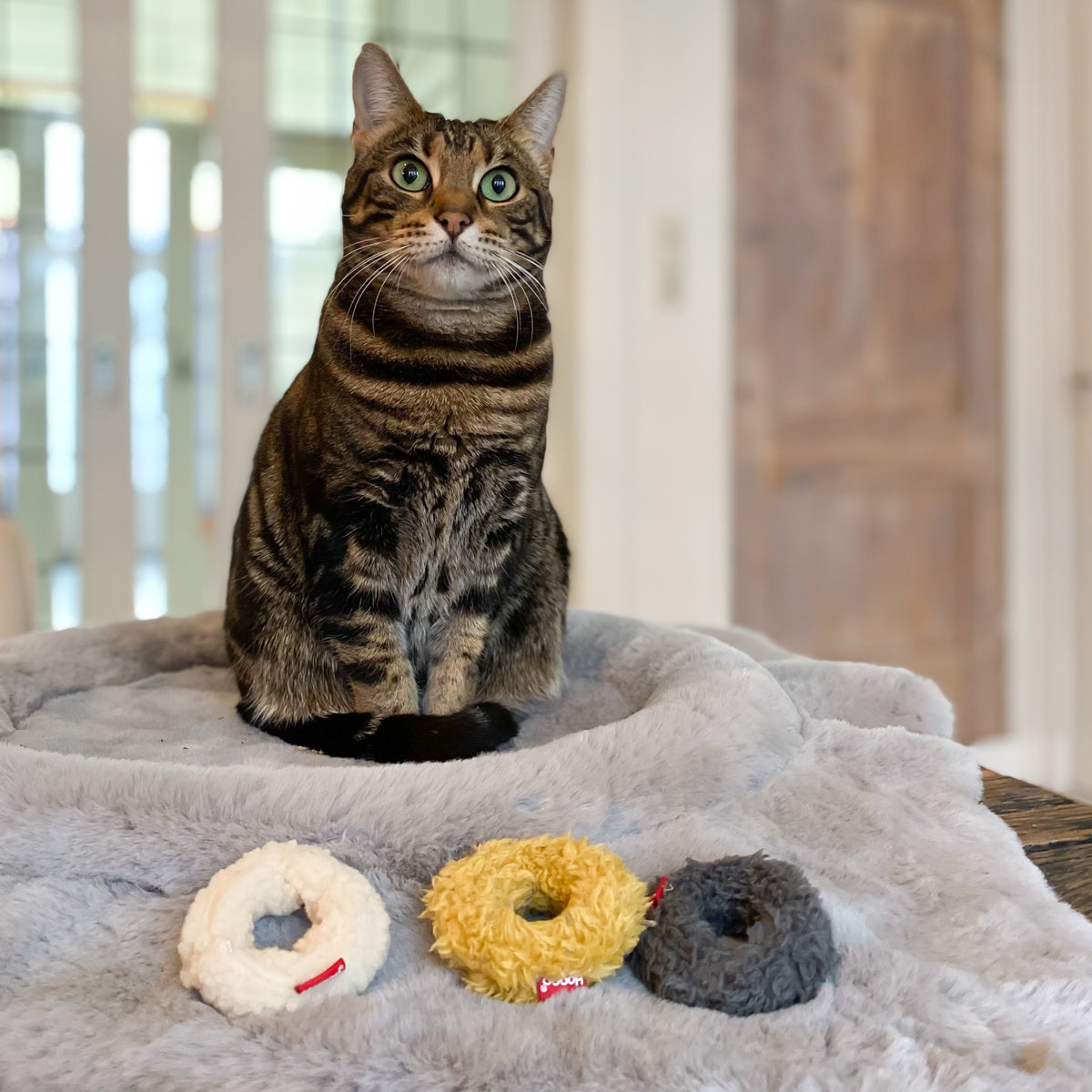 Mini-Donuts